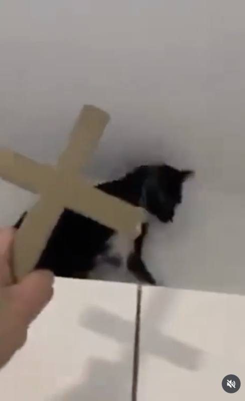 Exorcism