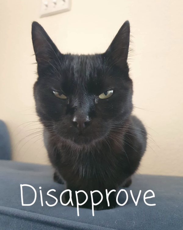 Judgment