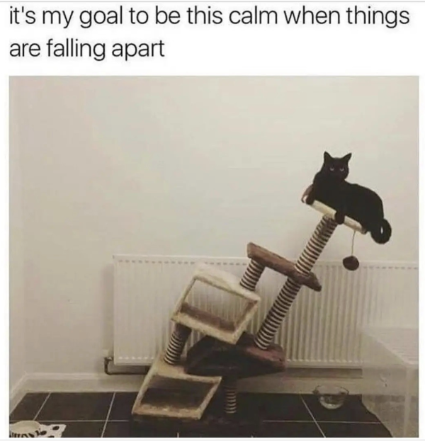 Stay Cool