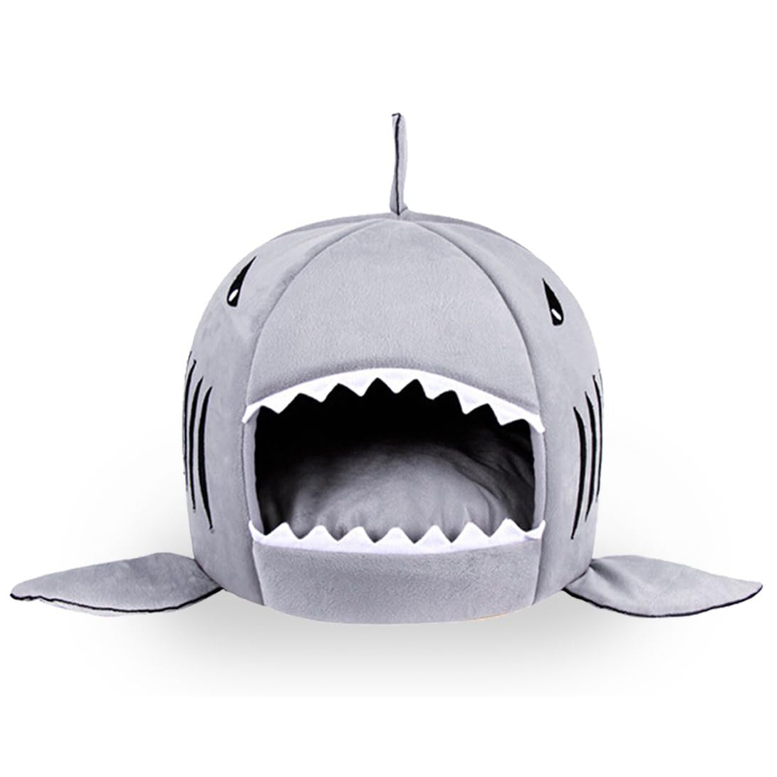 Shark Bed
