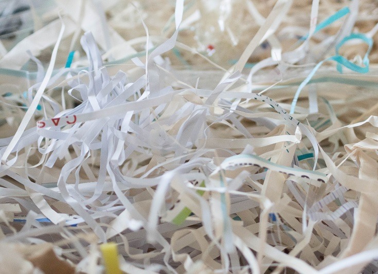 Can You Use Shredded Paper for Cat Litter? Vet-Approved Facts & Tips