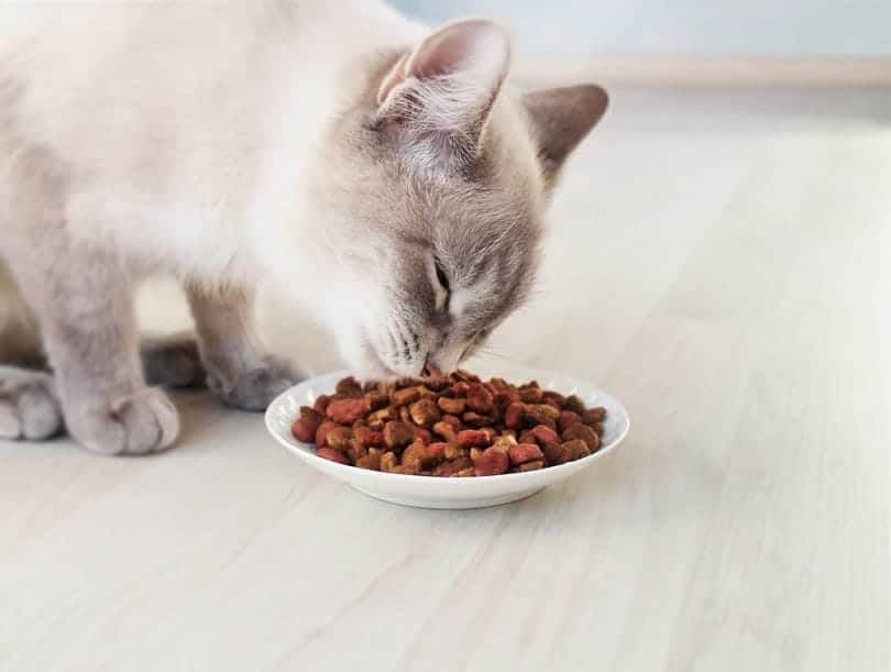 9 Best Grocery Store Cat Foods in 2026 - Reviews & Top Picks