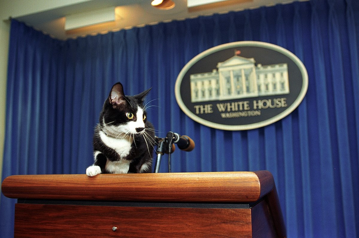 History of Cats in the White House: A Look Over the Last Centuries
