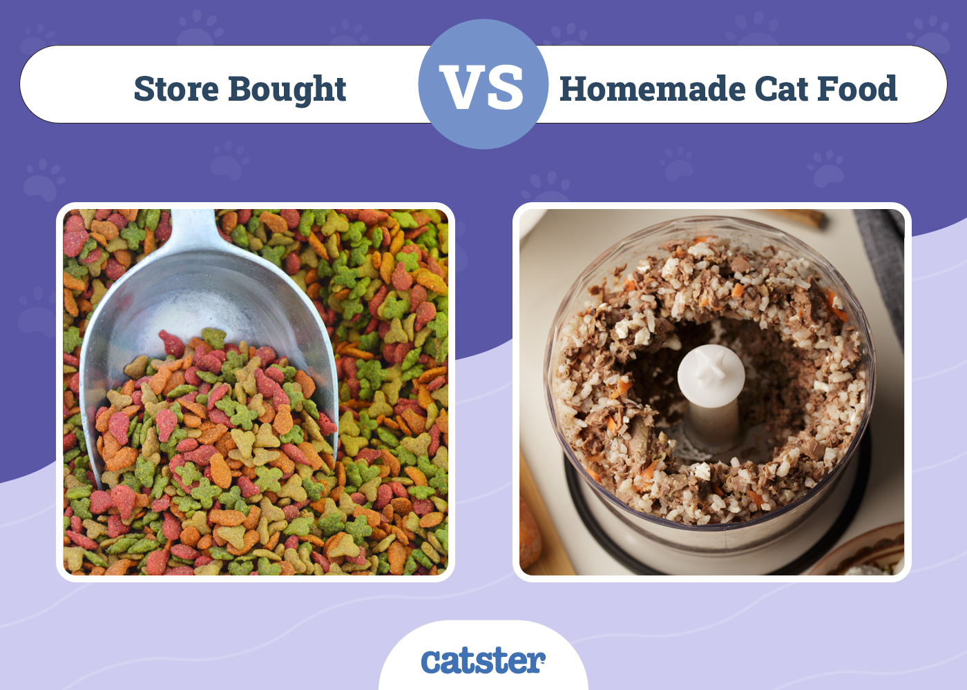 Store Bought vs Homemade Cat Food: Vet-Reviewed Pros, Cons & FAQ