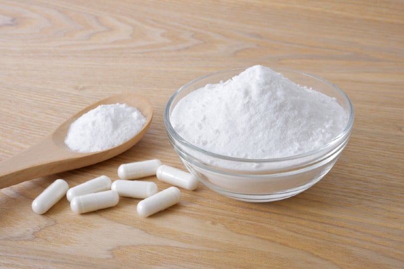 7 Natural Sources of Taurine for Your Cat: Vet-Reviewed List
