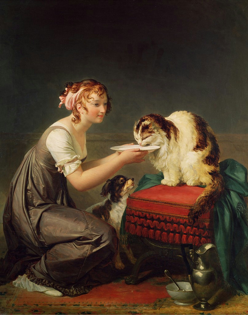 The_Cats_Lunch
