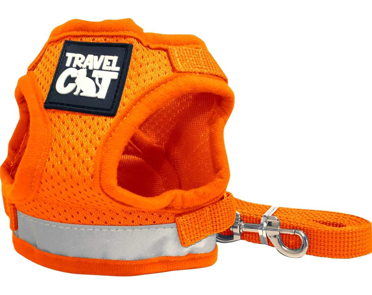 Travel Cat &amp; Stray Cat Harness and Leash Set