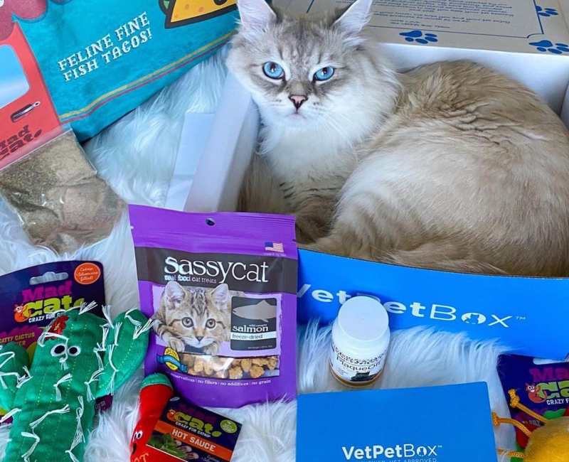 VetPet box