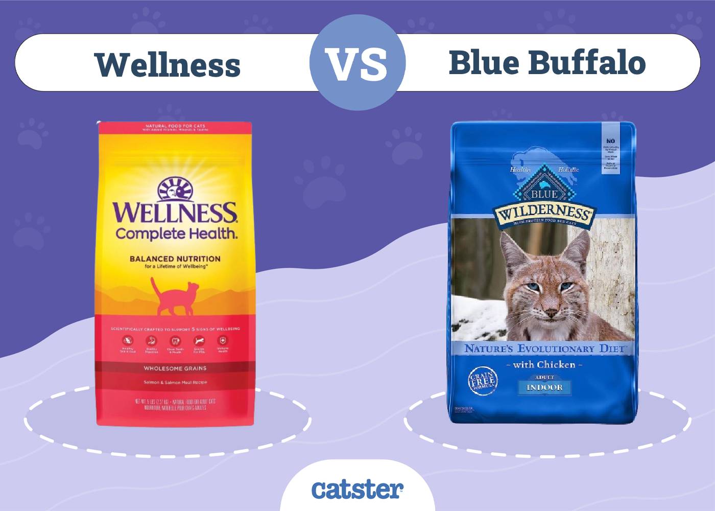 Wellness vs Blue Buffalo Cat Food: Our 2026 In-Depth Comparison