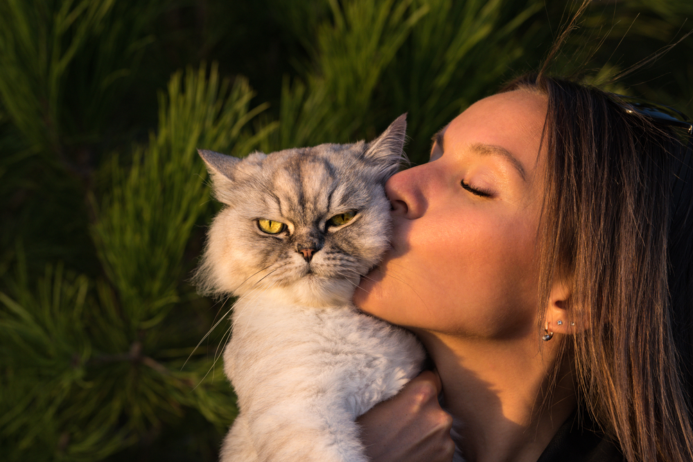 Does My Cat Hate Me? Signs, Causes & What to Do About It (Vet-Verified)
