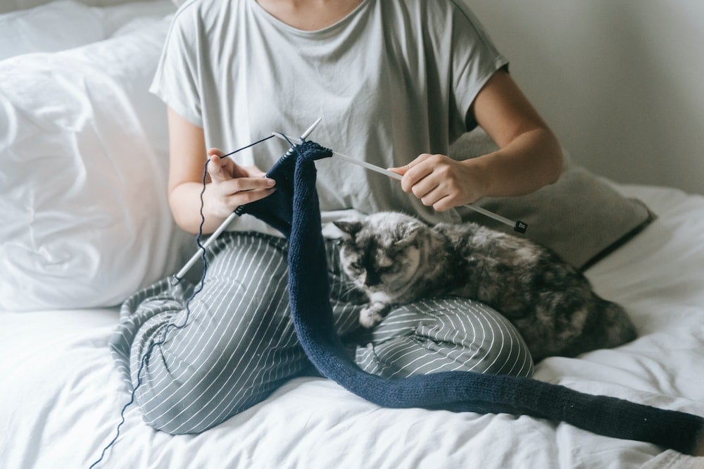 8 DIY Christmas Sweaters for Cats To Make Today (With Pictures)