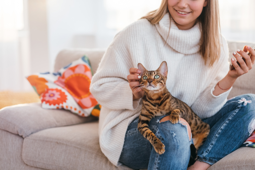 Do Bengal Cats Like to Cuddle? Vet-Reviewed Breed Preferences Explanation