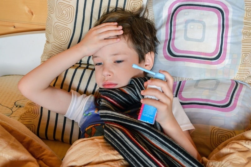 Can Cats Cause Asthma in Kids or Adults? Vet-Reviewed Facts & FAQ