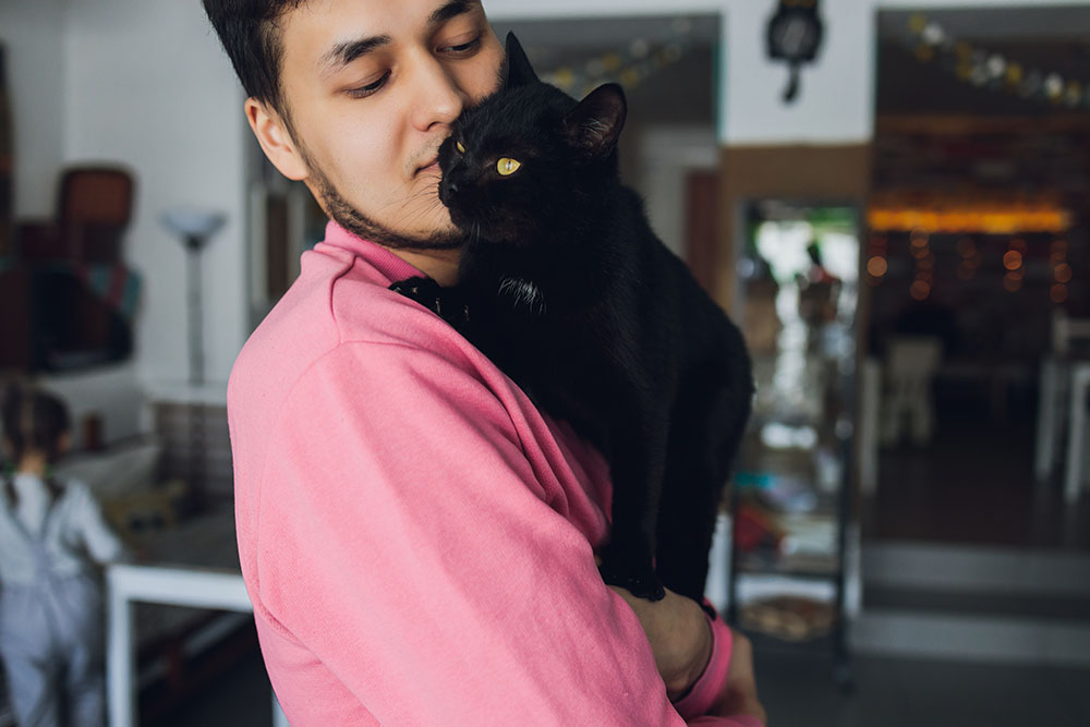Are Cats Good Therapy Animals? Vet-Verified Facts & Benefits