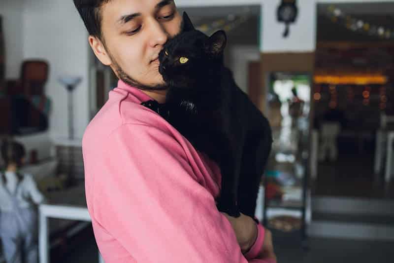 Black Cat Syndrome: Does It Exist? Myths & Facts Unveiled (Vet-Verified)