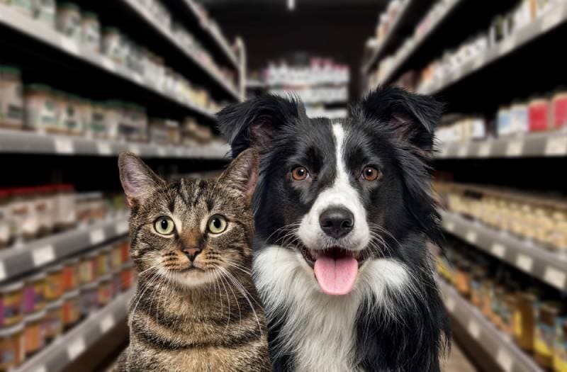 20 Pet-Friendly Stores in the US (2026 Update)