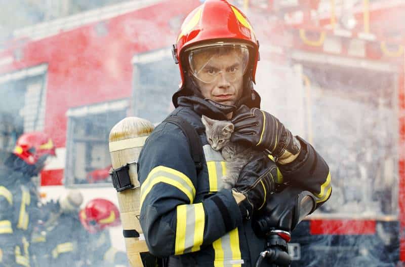 How to Prepare For a House Fire With Cats: 8 Vet-Approved Tips
