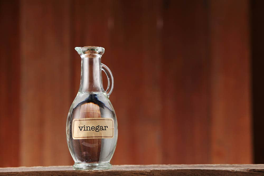 Does Vinegar Keep Cats Away? Vet-Reviewed Facts & FAQ