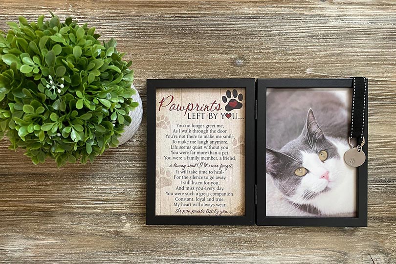13 Perfect Gifts for Someone Who Has Lost a Cat