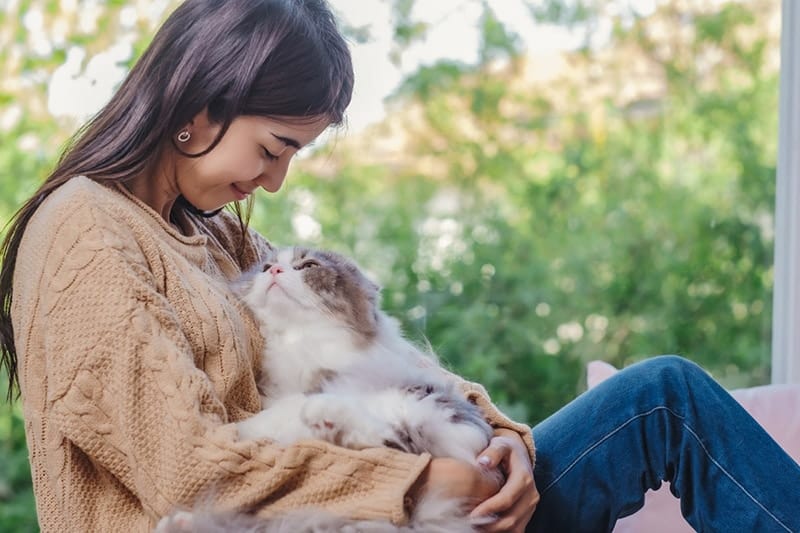 Is It Ok to Have Just One Cat? Vet-Verified Facts & Care Tips