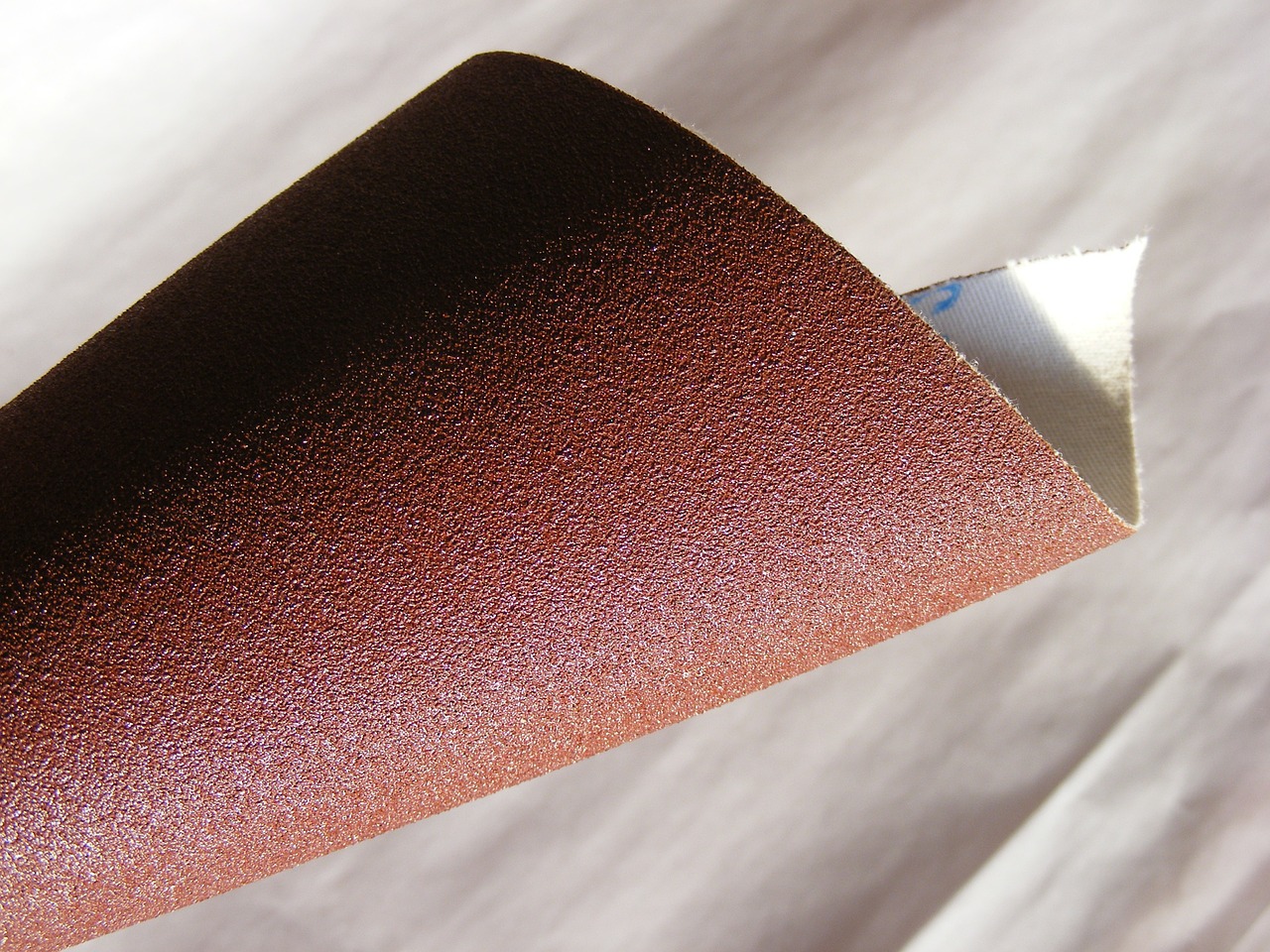 Is a Sandpaper Cat Scratcher a Good Idea? Vet-Approved Facts & Safety Guide