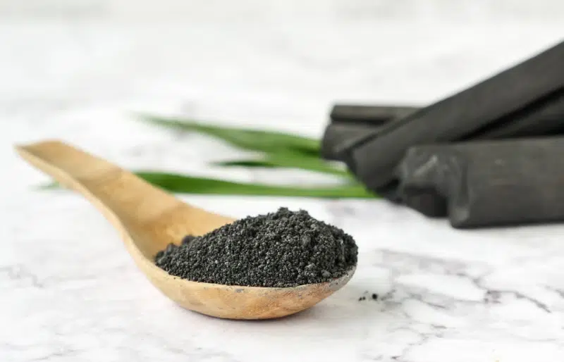 Activated Charcoal for Cats: Our Vet Discusses Benefits and Risks