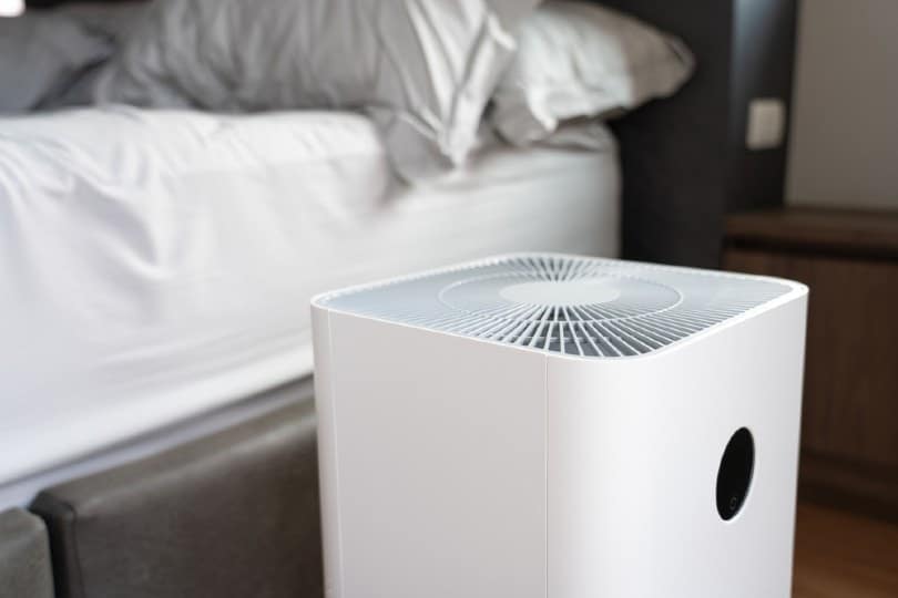 9 Best Air Purifiers for Cat Allergies in 2026 (Hair, Dander & Odor) - Reviews & Top Picks