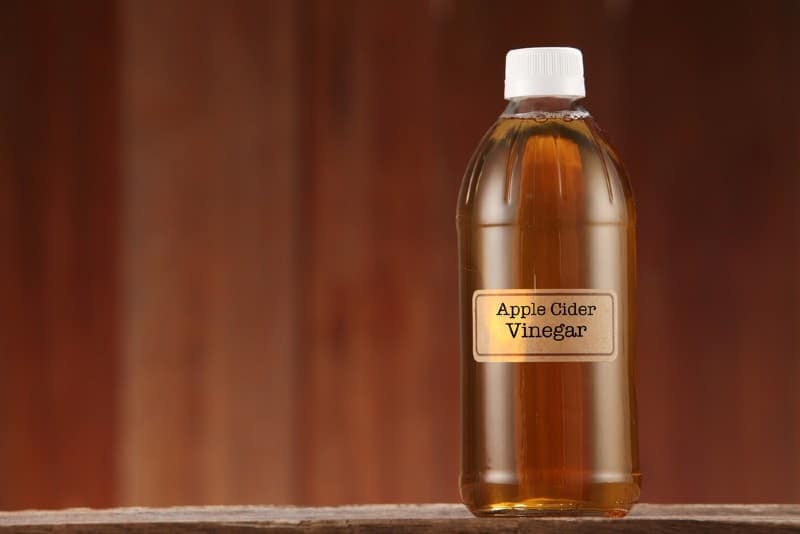 Does Apple Cider Vinegar Kill Fleas on Cats? Our Vet Explains