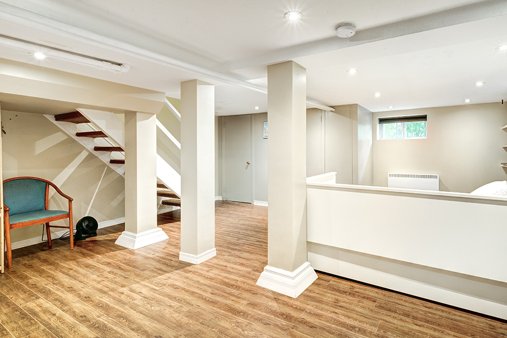 How to Get Rid of Cat Urine Smell in a Basement: 4 Simple Steps