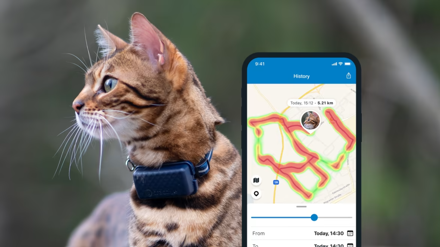 bengal cat outside wearing the tractive gps cat mini with phone app