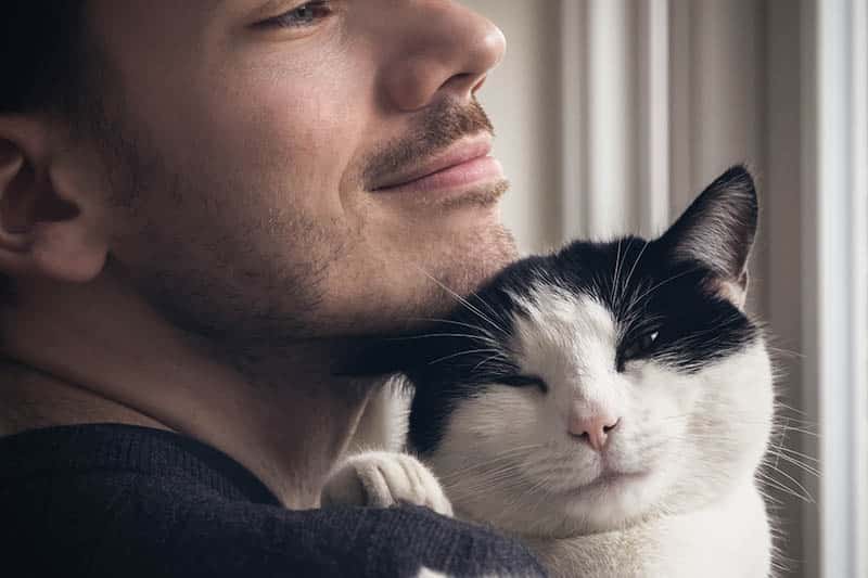 What Is Cat Nuzzling? 4 Vet-Approved Behavior Explanations & Info