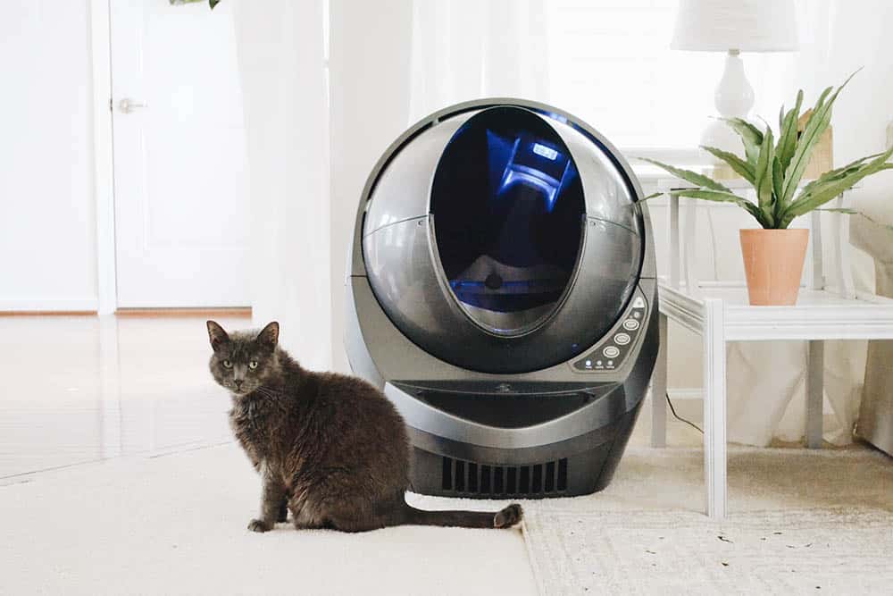 5 Best Self-Cleaning Litter Boxes for Multiple Cats of 2026 - Reviews & Top Picks