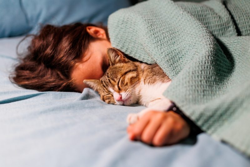 How to Tell If Your Cat Loves You: 12 Vet-Reviewed Signs to Look For
