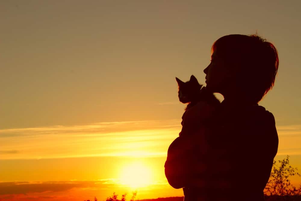 25+ Cat Loss Quotes: Grieving & Coping with Pet Loss