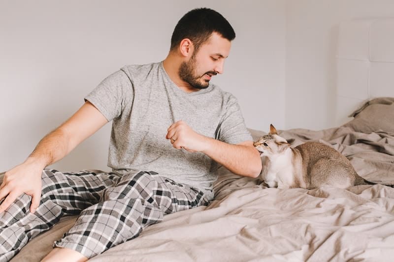 Why Does My Cat Grab & Bite My Arm? 6 Vet-Reviewed Reasons & What to Do