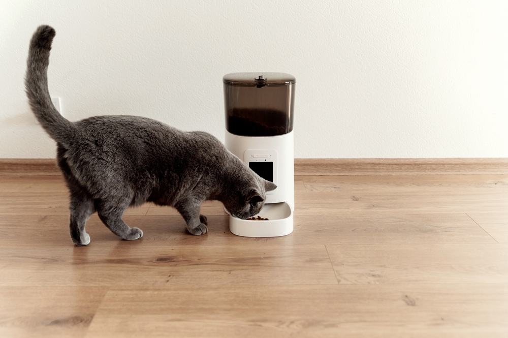 10 Best Automatic Cat Feeders In 2026 - Reviews & Top Picks