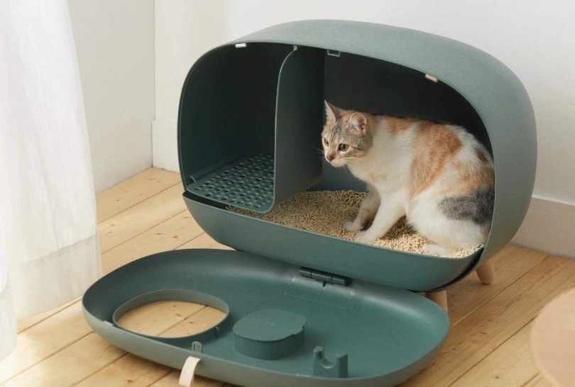 7 Best Modern Cat Litter Boxes That Look Great in Your Home in 2026 - Reviews & Top Picks