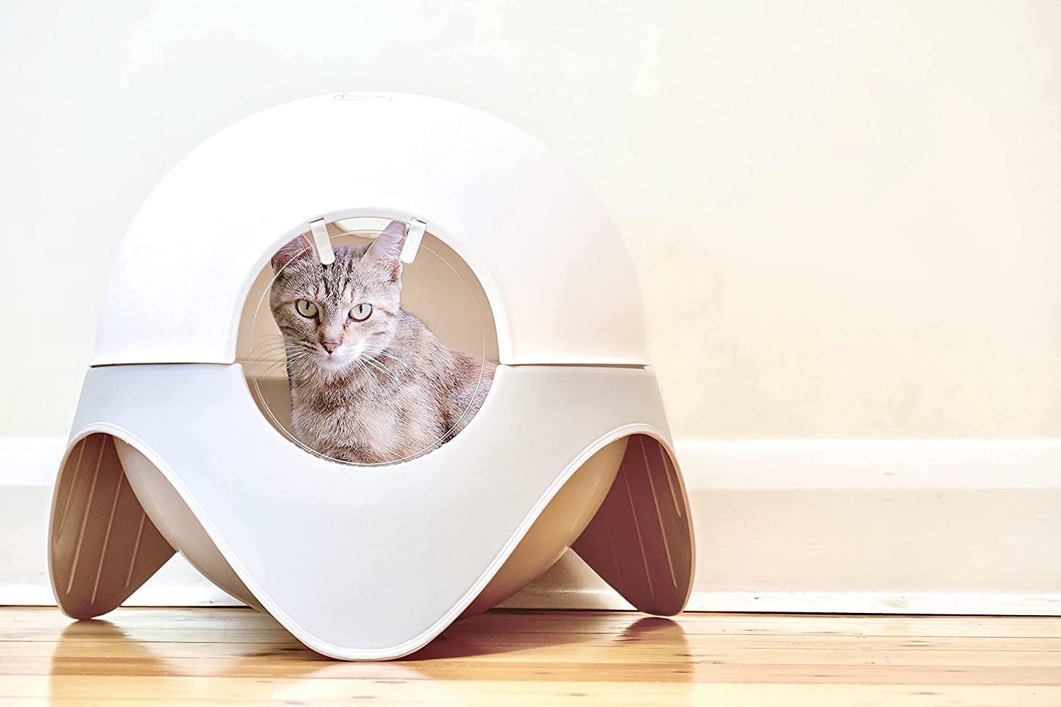 9 Best Cat Litter Boxes in Australia in 2026 - Reviews & Top Picks