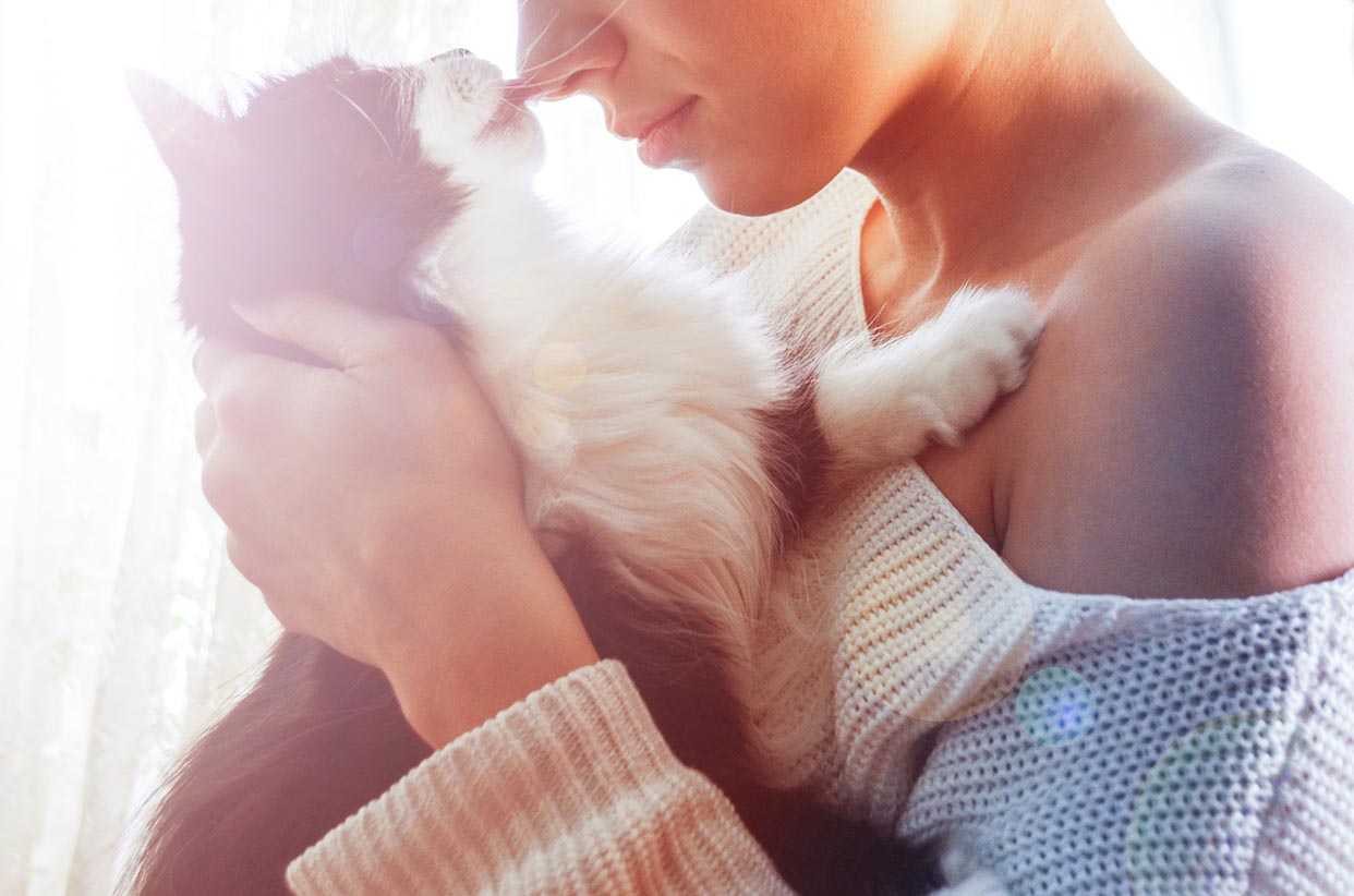 Why Does My Cat Groom Me? 9 Vet Reviewed Reasons
