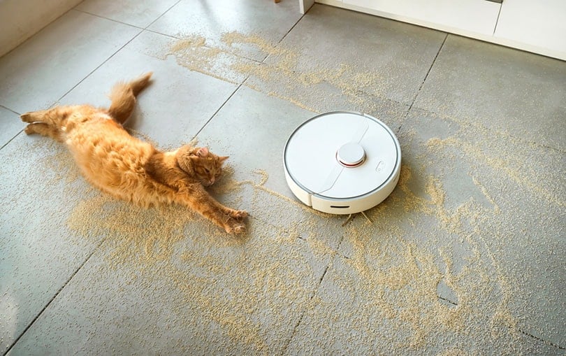 8 Best Robot Vacuums for Cat Litter in 2026 - Reviews & Top Picks