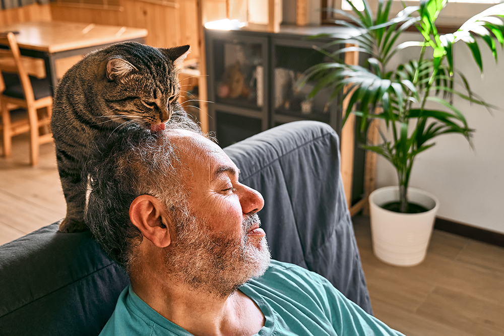 The Surprisingly Sweet Reason Behind Cats Chewing Human Hair (and Others)