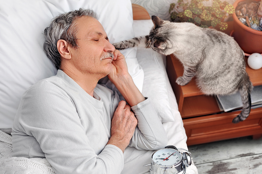 Why Does My Cat Attack Me at Night? 10 Vet-Reviewed Reasons