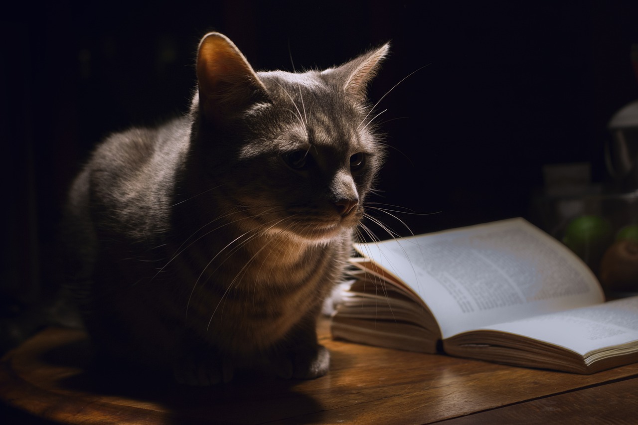 Do Cats Like the Dark? Vet-Verified Vision Facts (With Infograph)