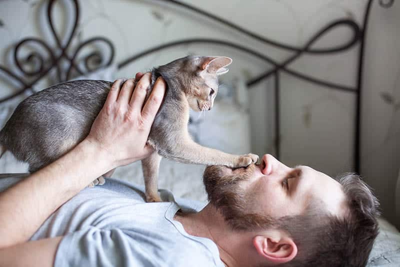The 5 Things Cats Are Communicating With a Paw to the Face