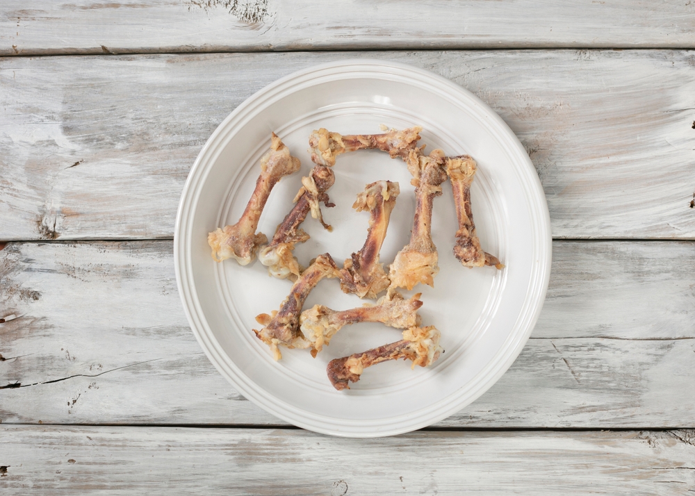 Vets Reveal the Scary Truth About Cats and Chicken Bones