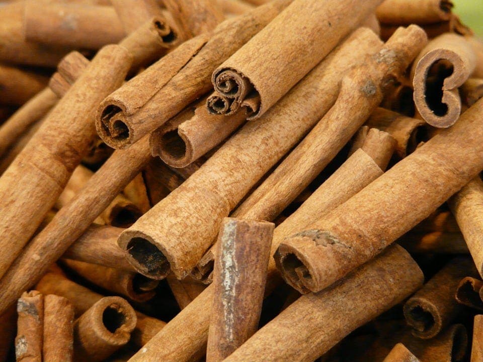 Does Cinnamon Keep Cats Away? Vet Approved Facts & FAQ