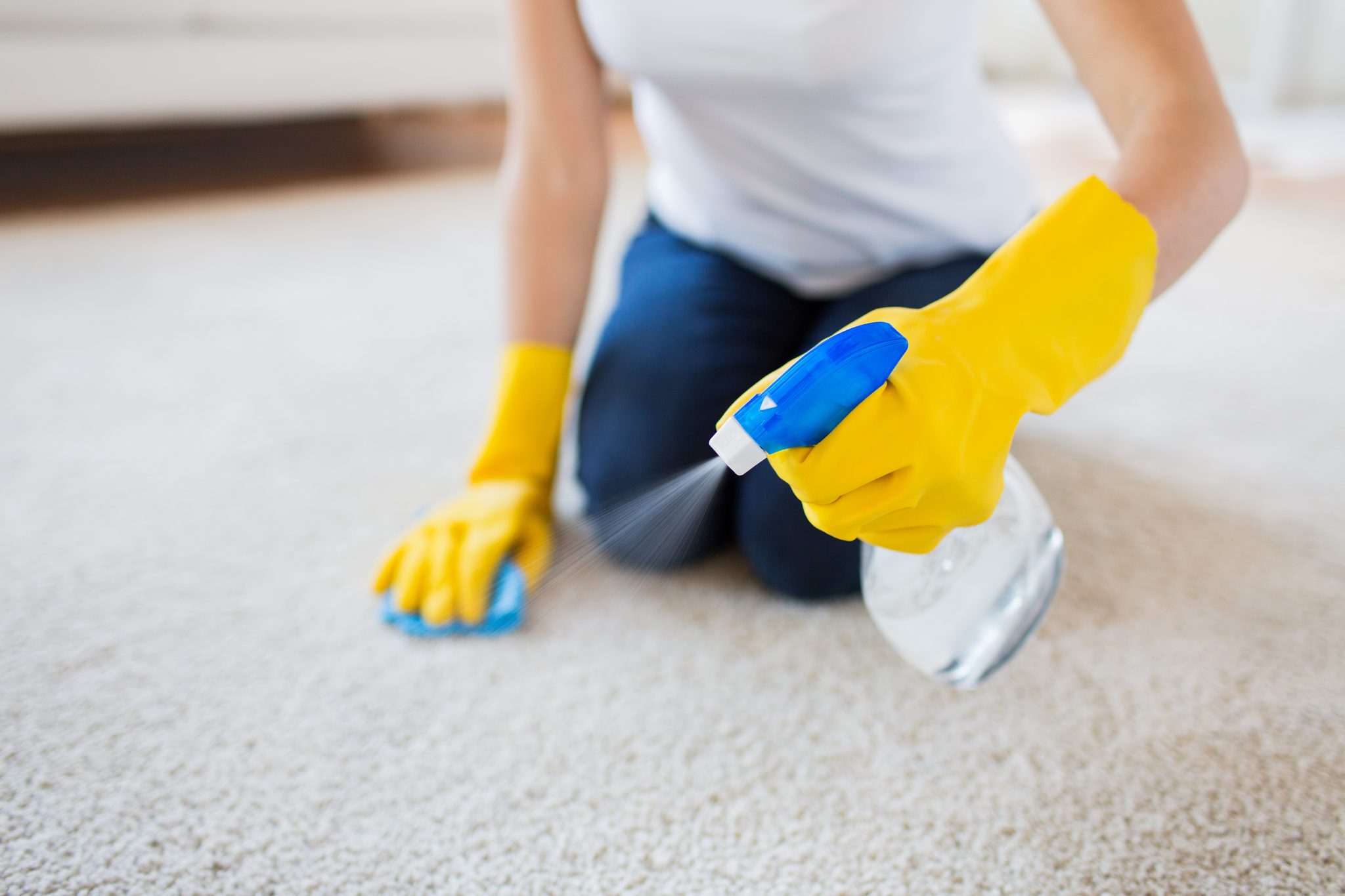 7 Best Carpet Cleaners for Cat Urine in 2026 – Reviews & Top Picks