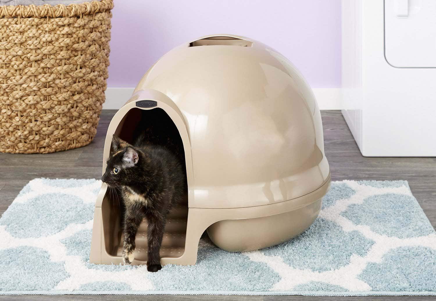 9 Best Litter Boxes to Stop Tracking in 2026: Reviews & Top Picks