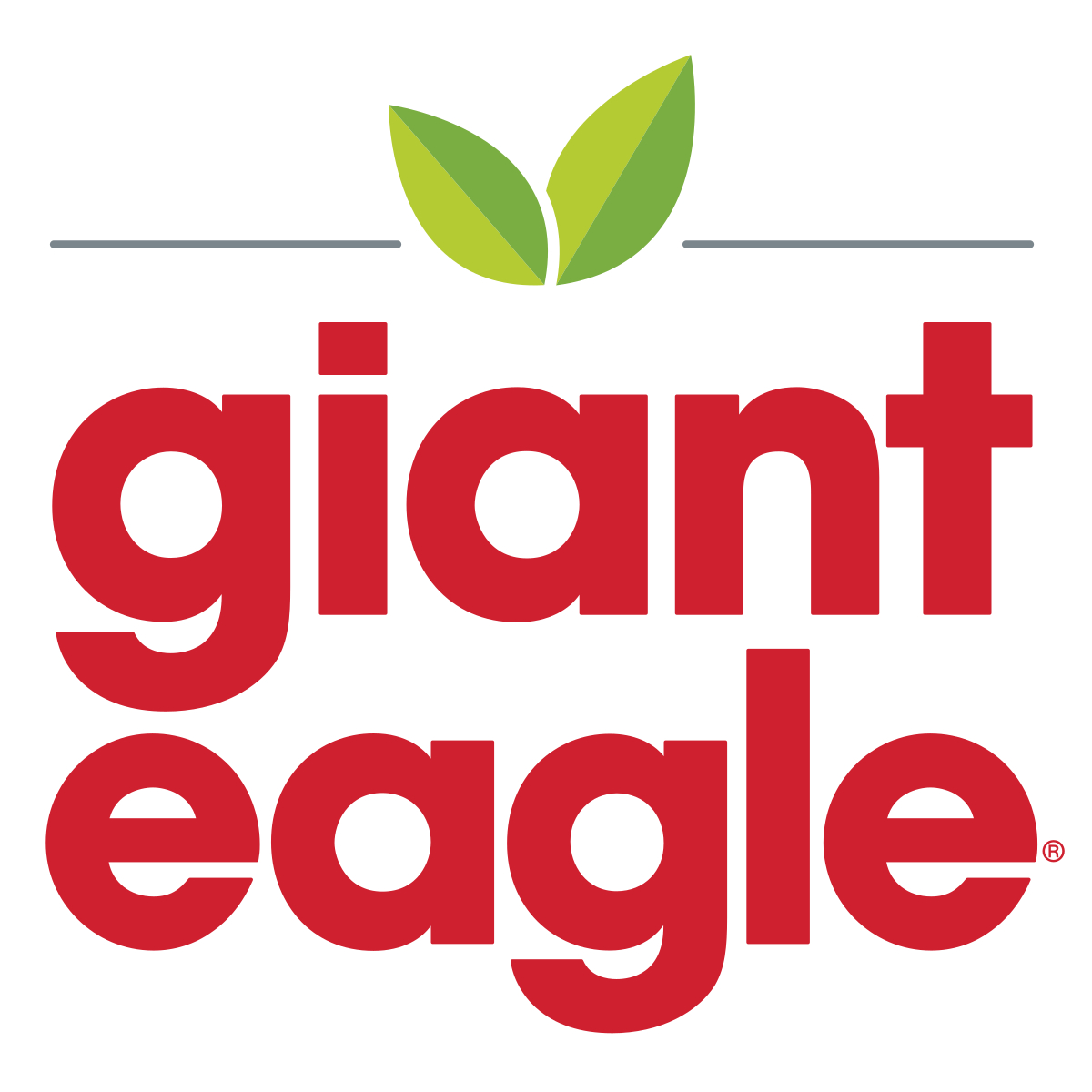 giant eagle logo