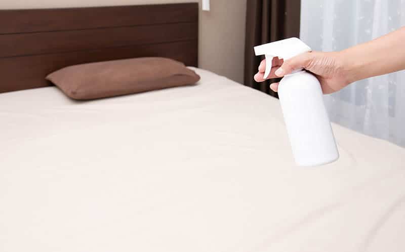 Will Bed Bug Spray Hurt My Cat? What You Should Know!